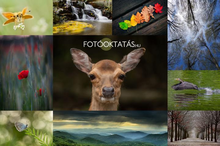 Kezdő szintű természetfotó oktatás 