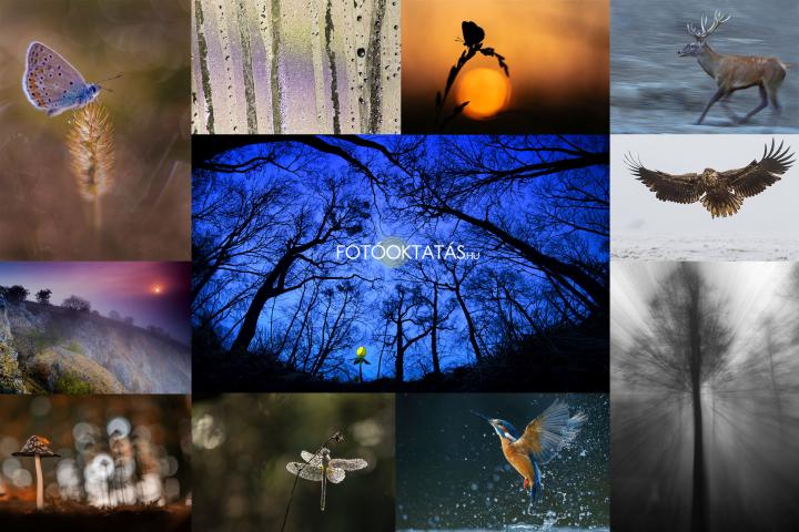 Professzionális természetfotó oktatás 